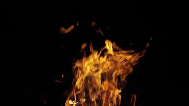 Bonefire Vuurvlammen Kampvuur Camping Masai Mara Park Kenia Slow Motion — Stockvideo