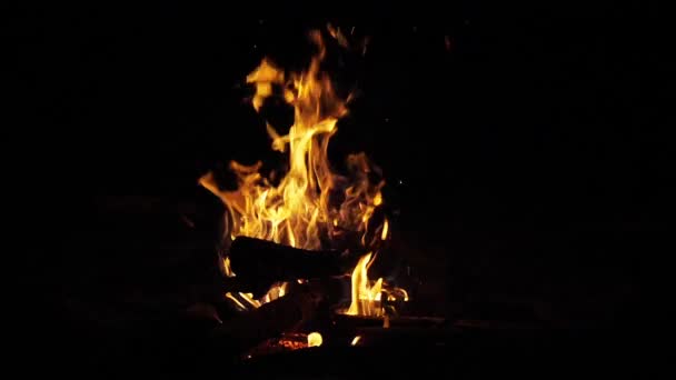 Bonefire Fire Flames Campfire Campsite Masai Mara Park Kenya Slow — Stock Video