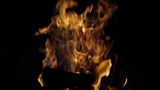 Bonefire Fire Flames Campfire Campsite Masai Mara Park Kenya Slow — Stock Video