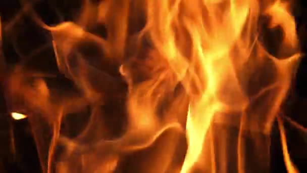 Костёр Пожар Костре Кемпинг Парке Масаи Мара Кения Замедленная Съемка — стоковое видео