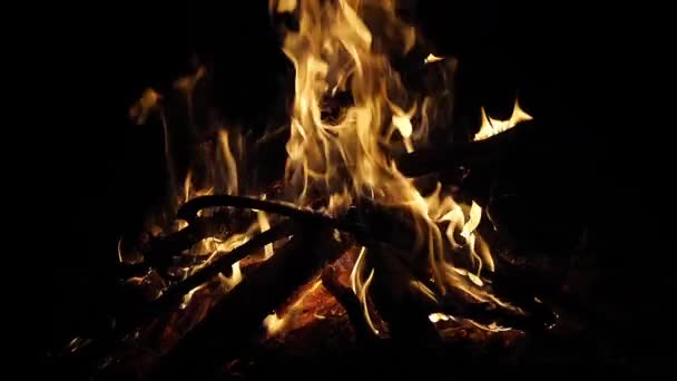 Bonefire Fire Flames Campfire Parque Campismo Masai Mara Park Quénia — Vídeo de Stock