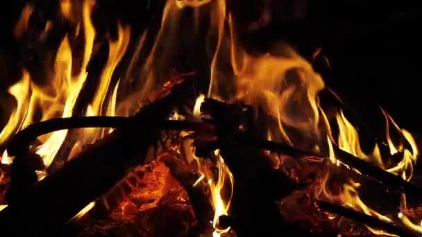 Bonefire Vuurvlammen Kampvuur Camping Masai Mara Park Kenia Slow Motion — Stockvideo