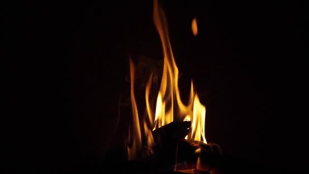 Bonefire Fire Flames Campfire Campsite Masai Mara Park Kenya Slow — Stock Video