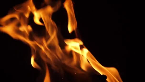 Bonefire Fire Flames Campfire Campsite Masai Mara Park Kenya Slow — 비디오
