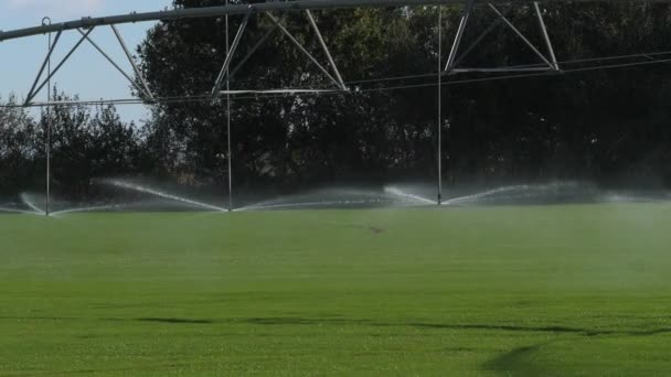 Soil Watering Camargue South East France Slow Motion — 비디오