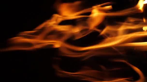 たき火 キャンプファイヤーの炎 マサイ マラ公園のキャンプ場 ケニア 垂直ビデオ スローモーション — ストック動画