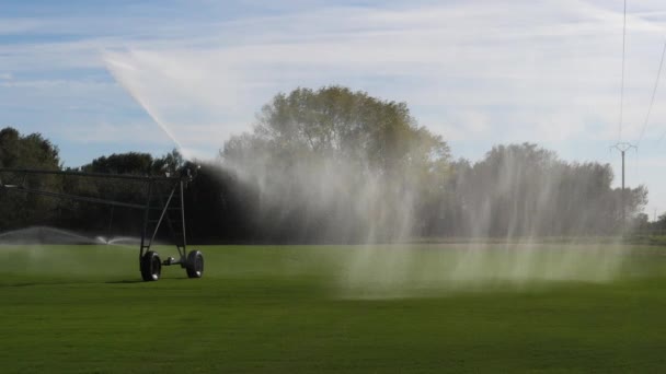 Bodembewatering Camargue Het Zuidoosten Van Frankrijk Slow Motion — Stockvideo