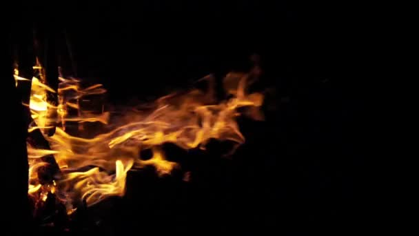 たき火 キャンプファイヤーの炎 マサイ マラ公園のキャンプ場 ケニア 垂直ビデオ スローモーション — ストック動画