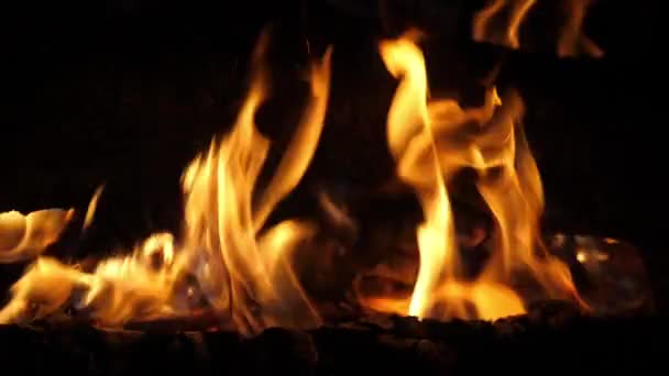 Bonefire Fire Flames Campfire Campsite Masai Mara Park Kenya Slow — Stock Video