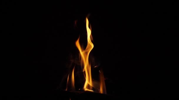 ไฟไหม กระด ไฟไหม ในค ายไฟ สถานท งแคมป สวนมาไซมาระ เคนย การเคล — วีดีโอสต็อก
