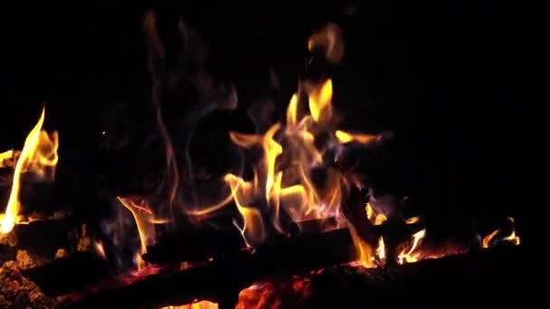 Bonefire Fire Flames Campfire Campsite Masai Mara Park Kenya Повільний — стокове відео