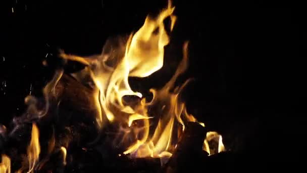 Bonefire Fire Flames Campfire Campsite Masai Mara Park Kenya Slow — Stock video