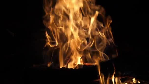 Bonefire Tűz Lángok Tábortűzben Kemping Masai Mara Parkban Kenya Lassított — Stock videók