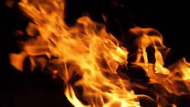 Feu Joie Flammes Feu Dans Feu Camp Camping Masai Mara — Video