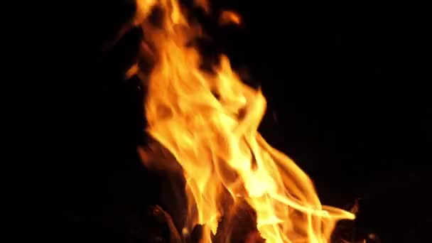 Bonefire Tűz Lángok Tábortűzben Kemping Masai Mara Parkban Kenya Lassított — Stock videók
