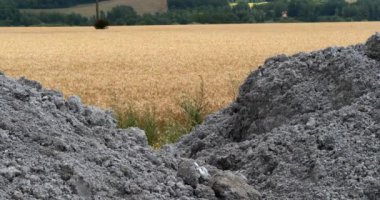 Tarım Alanları 'nda yayılmak için kullanılacak kanalizasyon atıkları, normandiya, yavaş çekim 4k