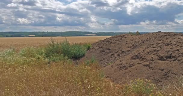 Sewage Sludge Used Spreading Agricultural Fields Normandy Slow Motion — 비디오