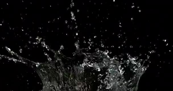 Water Exploderen Spatten Tegen Zwarte Achtergrond Slow Motion — Stockvideo