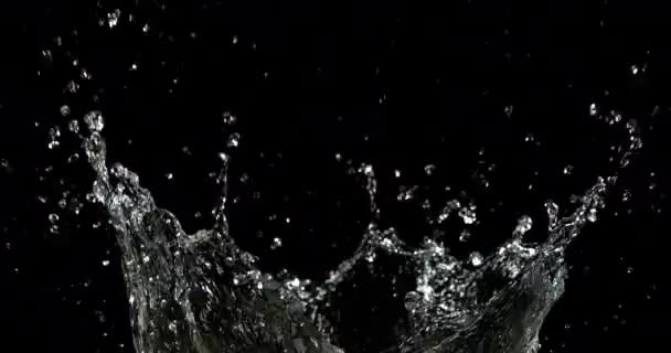Взрыв Воды Брызги Черном Фоне Медленное Движение — стоковое видео