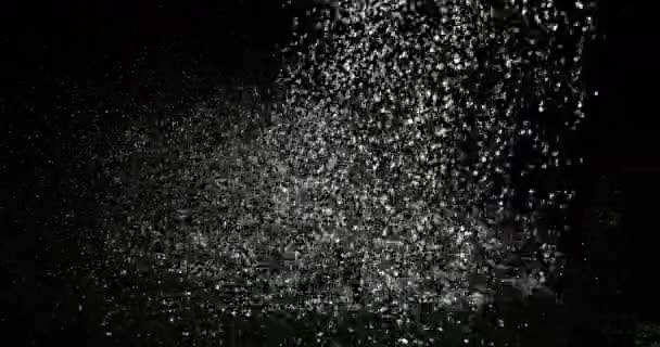 Поток Воды Канистры Полива Черном Фоне Медленное Движение — стоковое видео