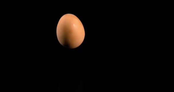 Egg Falling Water Black Background Slow Motion — Stok Video