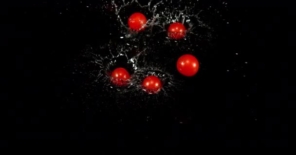 Cherry Tomatoes Solanum Lycopersicum Fruits Falling Water Black Background Slow — Videoclip de stoc