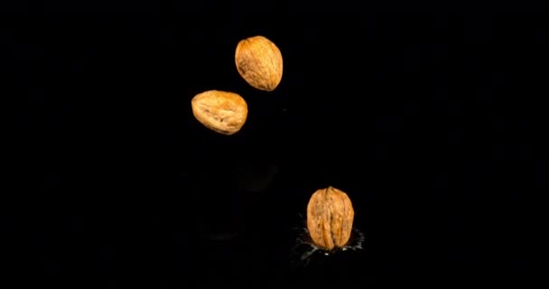 Walnuts Juglans Regia Nuts Falling Water Black Background Slow Motion — ストック動画
