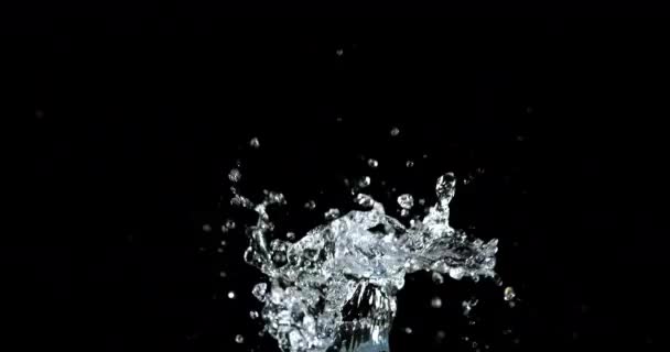 Water Exploderen Spatten Tegen Zwarte Achtergrond Slow Motion — Stockvideo