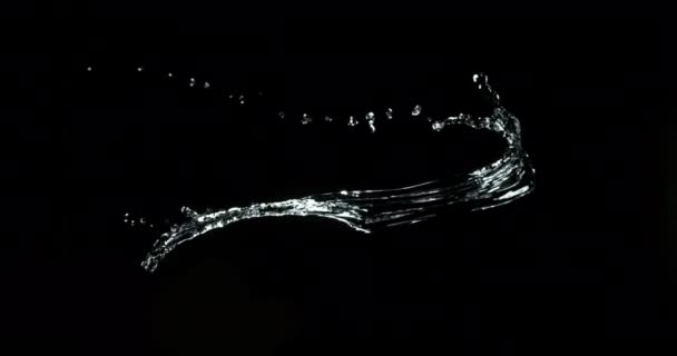 Νερό Που Αναβλύζει Μαύρο Φόντο Αργή Κίνηση — Αρχείο Βίντεο