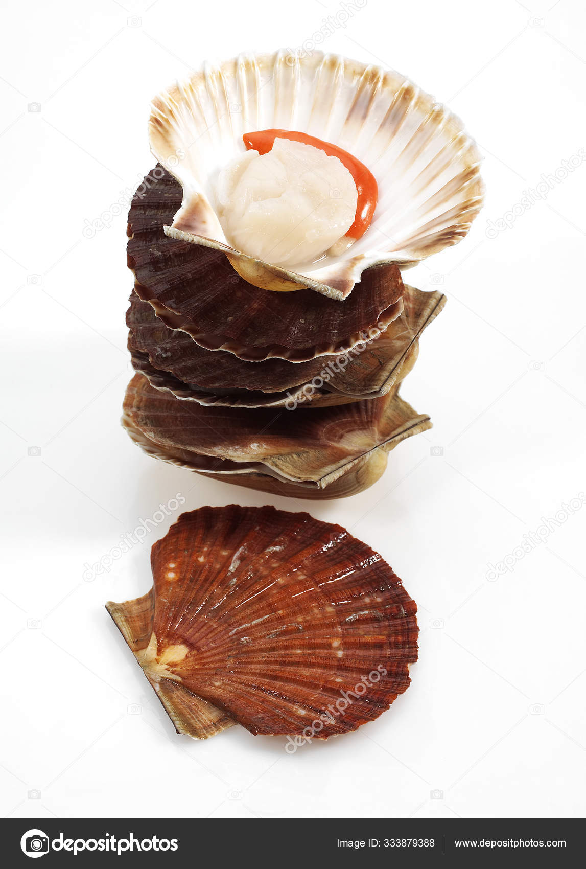 Coquille Saint Jacques Stock Photo Image By C Slowmotiongli Coquille Saint Jacques Stock Photo Image By C Slowmotiongli