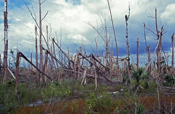 Ouragan — Foto de Stock