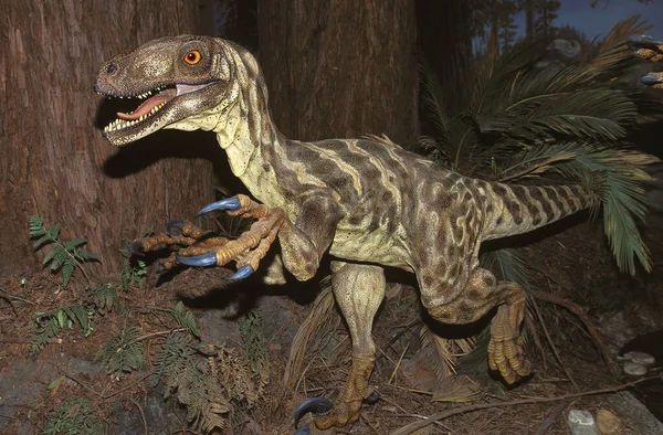 DEINONYCHUS ANTIRRHOPUS — 스톡 사진