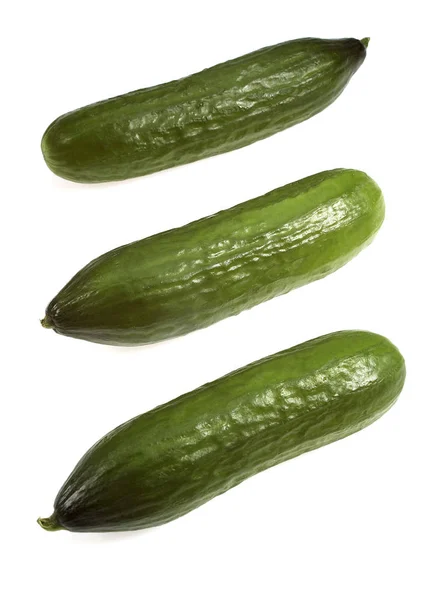 Cucumber —  Fotos de Stock