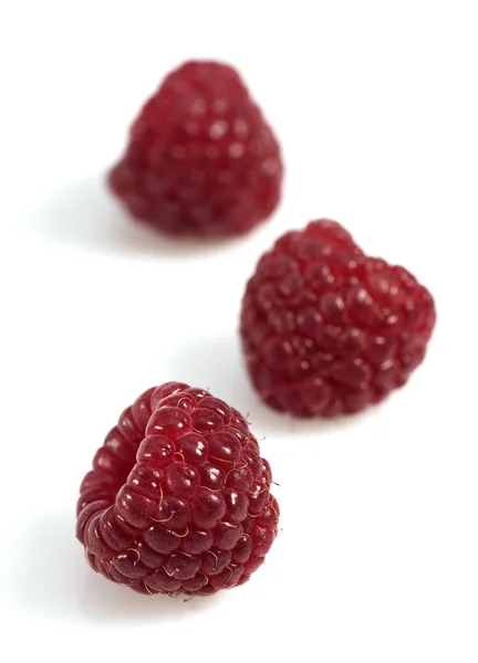 FRAMBOISE — Stock Photo, Image