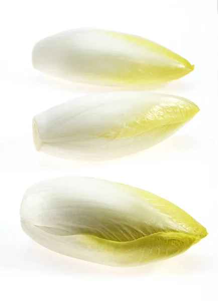 ENDIVE — Stock Photo, Image