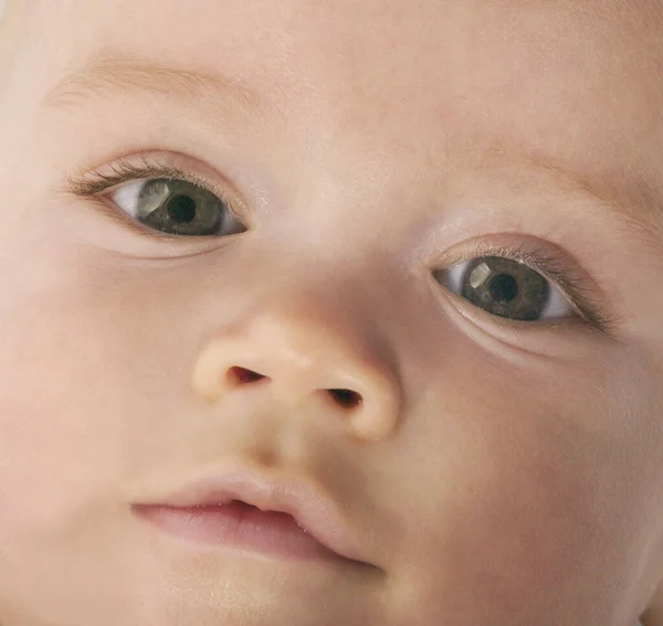 Baby Looking Up Stock Photo Image By C Londondeposit