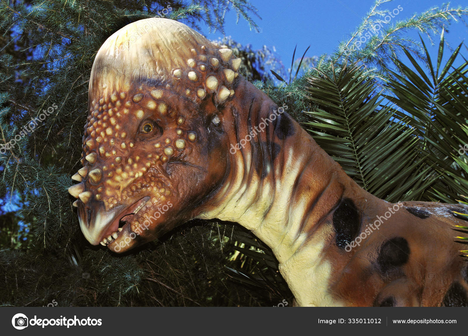 PACHYCEPHALOSAURE pachycephalosaurus — Stock Photo © slowmotiongli