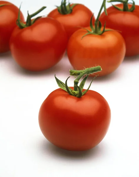 Tomatenrouge — Stockfoto