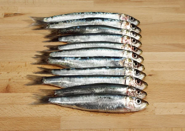 SARDINE — Stock Photo, Image