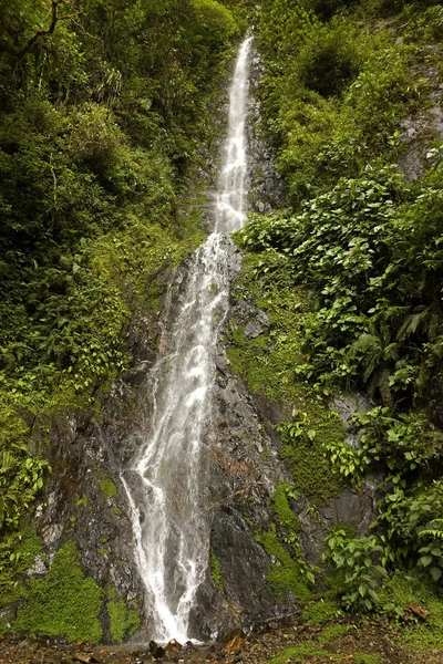 Peru! — Stock Fotó