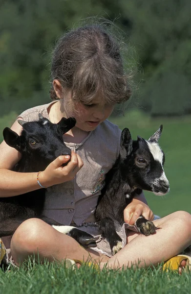 Enfant Et Chevre — Foto de Stock