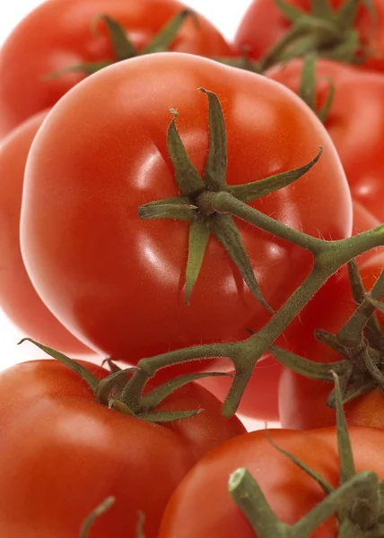 Tomatenrouge — Stockfoto