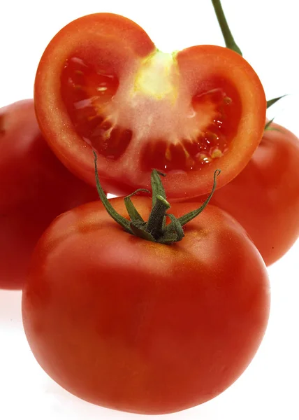 Tomate Rouge Przewodniczący — Zdjęcie stockowe