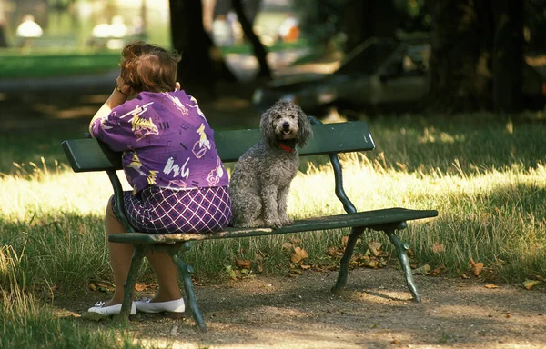 FEMME ET CHIEN — Stock Photo, Image