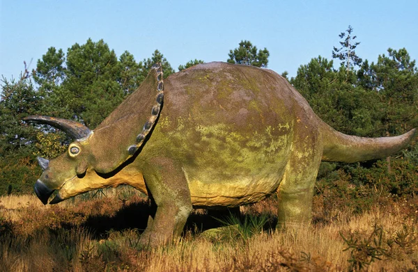 Triceratops — Φωτογραφία Αρχείου