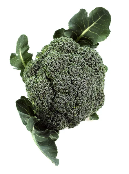 Chou Brocoli — Stockfoto