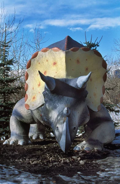 Triceratops — Φωτογραφία Αρχείου