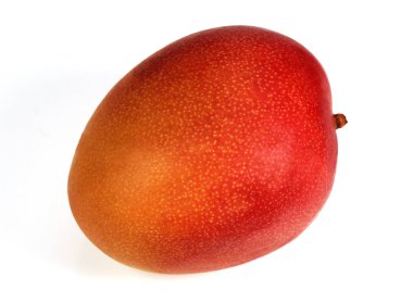 Mangue
