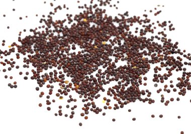 GRAINE DE MOUTARDE NOIRE