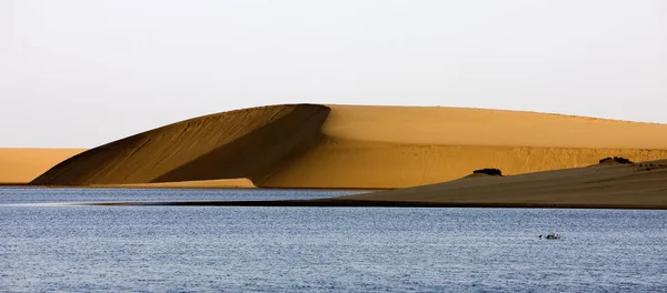 Desert En Namibie — Stock fotografie